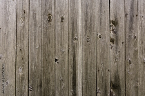 Closeup of a vibrant wooden surface under the bright light