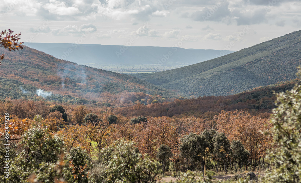 autumn landscape of Mediterranean forest in Cabañeros National Park, Spain