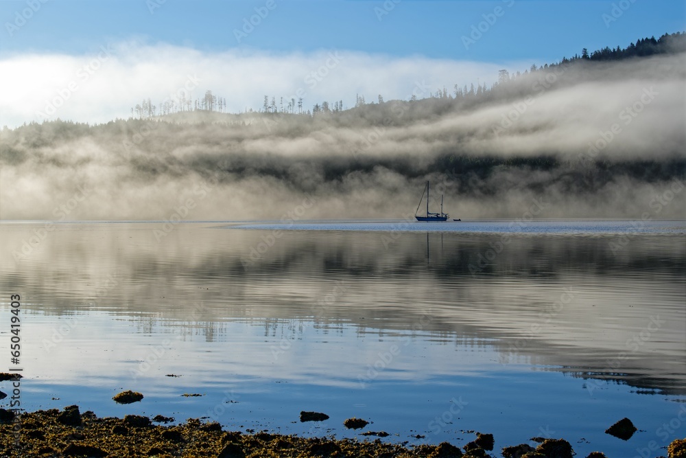 Fototapeta premium Misty foggy summer morning in Winter Harbour, Vancouver Island, BC Canada.