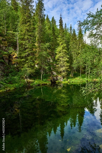Tranquil landscape of natural scenery in Pyha- Luosto National Park in Lapland, Finland