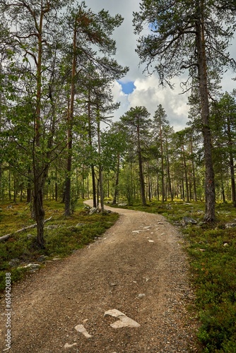 Tranquil landscape of natural scenery in Pyha- Luosto National Park in Lapland, Finland photo