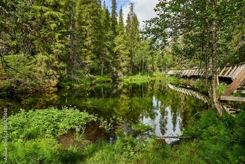 Fototapeta Naklejka Na Ścianę i Meble -  Tranquil landscape of natural scenery in Pyha- Luosto National Park in Lapland, Finland