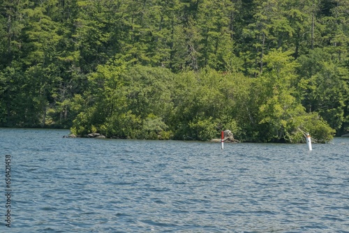 Vibrant buoy on Lake Winnipesaukee in New Hampshire, USA photo