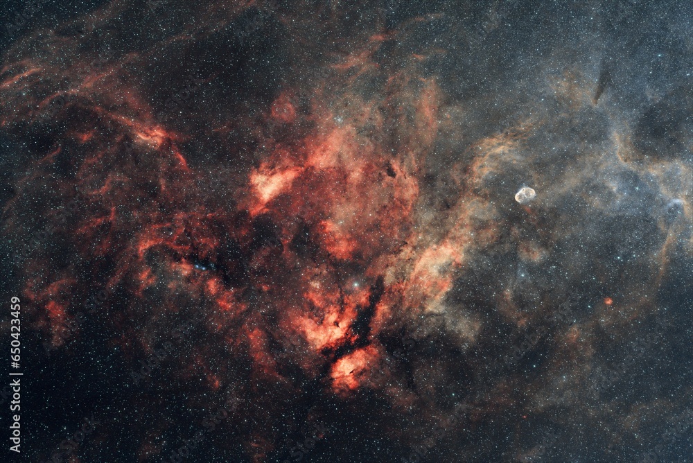 Sadr region with the butterfly and crescent nebula in the constellation of Cygnus Sadr region with the butterfly and crescent nebula in the constellation of Cygnus