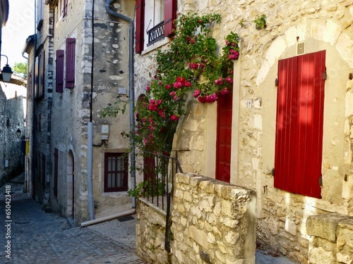 a narrow street with stone buildings and red shutters and flowers: Viviers, France photo