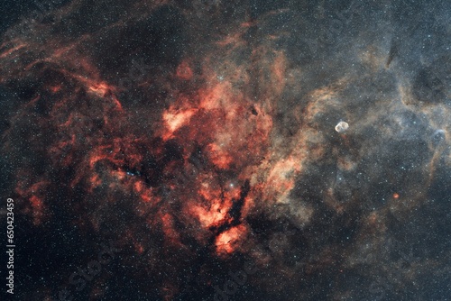 Fototapeta Naklejka Na Ścianę i Meble -  Sadr region with the butterfly and crescent nebula in the constellation of Cygnus