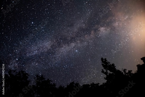 Scenic view of stars shining brightly in the sky in darkness at nighttime