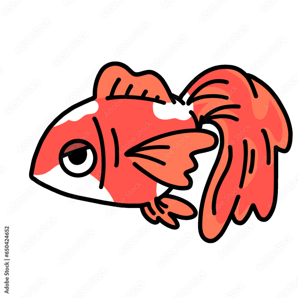 cute goldfish cartoon drawing transparent background vector