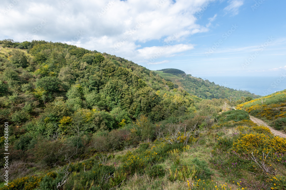 Photo of the footpath leading down to Glenthorne beach in Exmoor National Park Photo of the footpath leading down to Glenthorne beach in Exmoor National Park