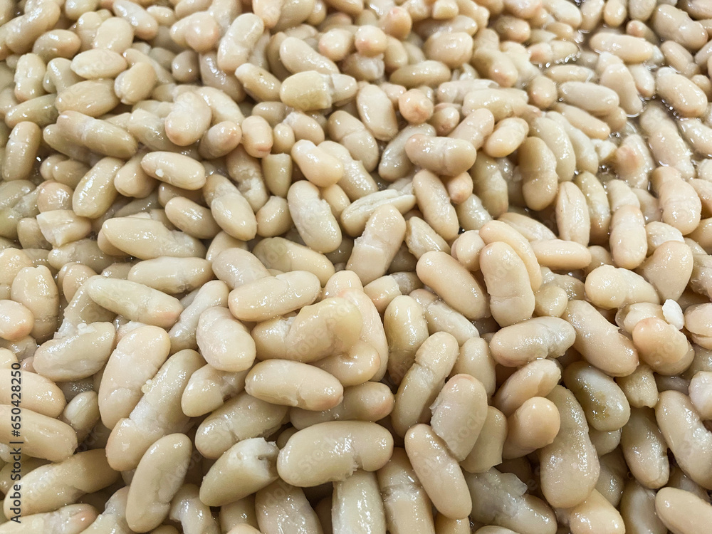 Controne beans, a typical Cilento legume Controne beans, a typical Cilento legume