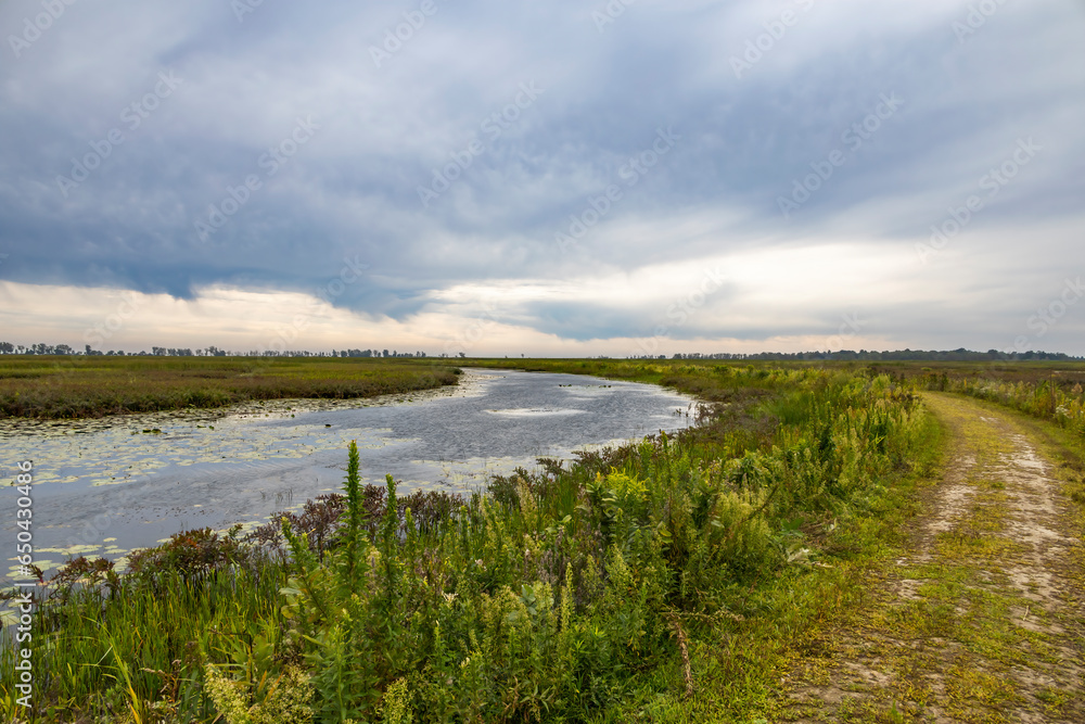 A view out over the marshy Big Creek National Wildlife Area near Port Rowan, Ontario on a gloomy day.