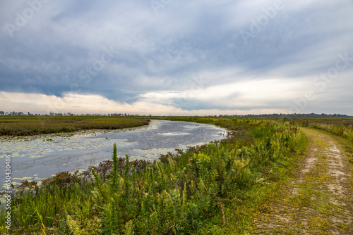 A view out over the marshy Big Creek National Wildlife Area near Port Rowan  Ontario on a gloomy day.