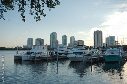 Vinoy Yacht Basin Marina in St. Petersburg, Florida and Park in the late afternoon sun. Boats and skyline buildings in the background. Green grass.
