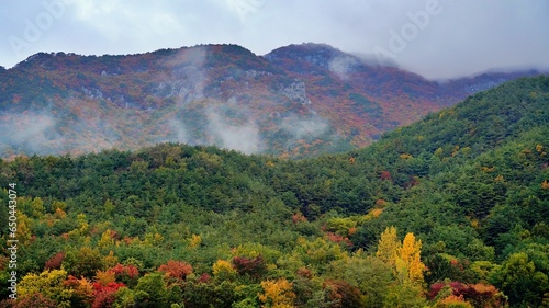 Autumn scenery of Miryang rural village in Korea