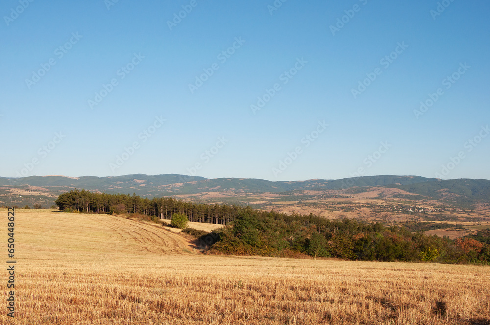 Obraz premium Yellow field after harvest against the mountains background