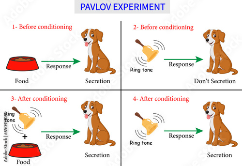 Pavlov's dog experiment . Vector illustration