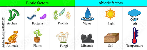 Biotic and Abiotic Factors in the Environment.Vector illustration photo
