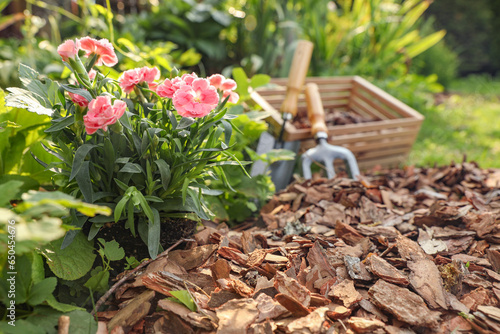 Fototapeta Naklejka Na Ścianę i Meble -  Flowers mulched with bark chips in garden
