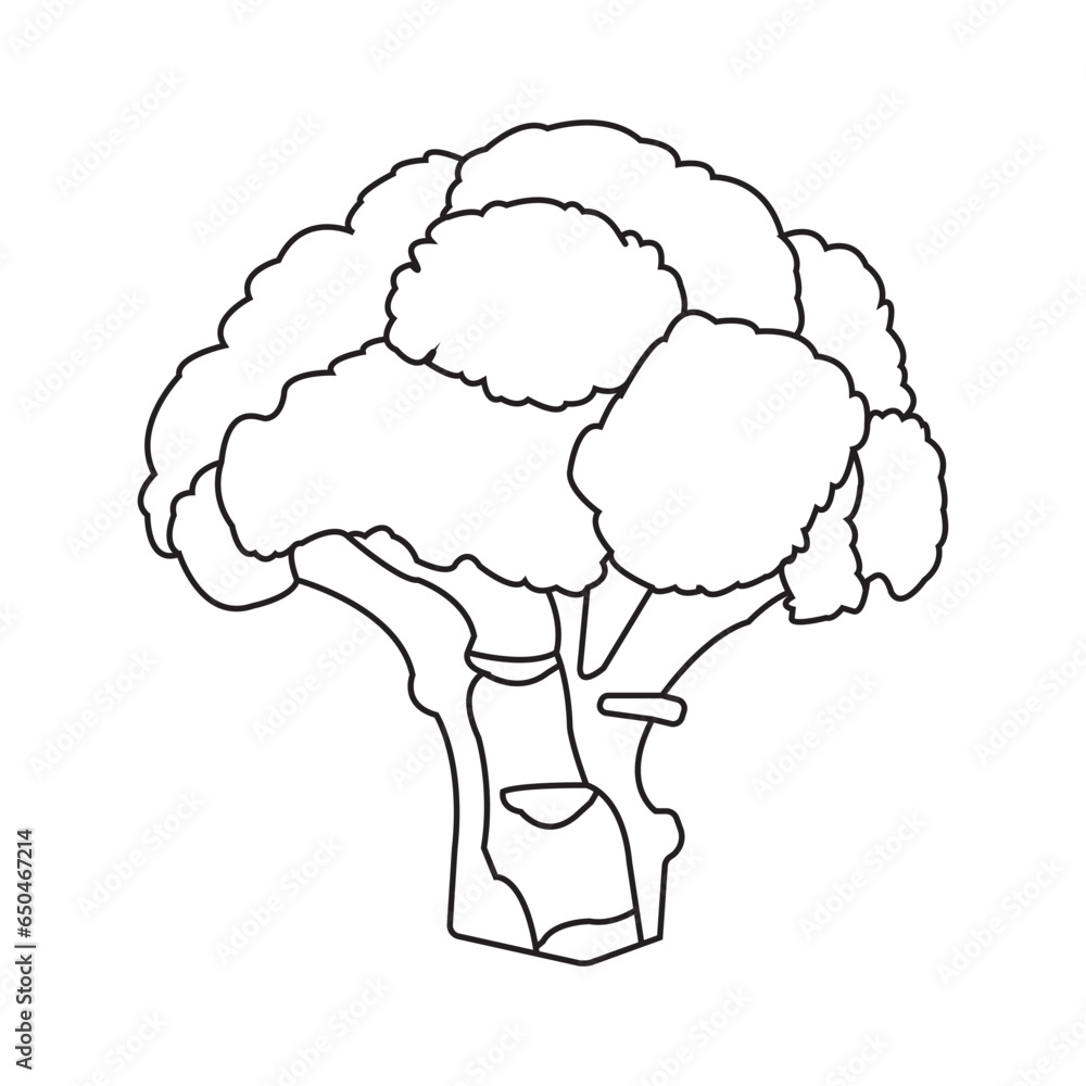 Broccoli icon Broccoli icon