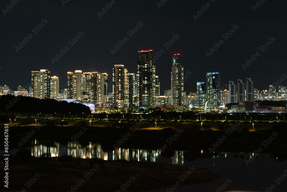 country skyline at night (Sejong city, South Korea)