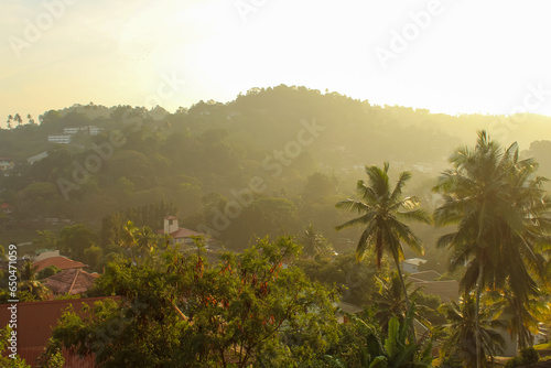 Magical light at the jungles in Kandy  Sri Lanka in the early morning