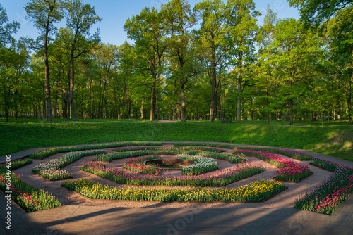View of the alley and flower bed with tulips in Gatchina Park on a sunny summer day, Gatchina, Leningrad region, Russia