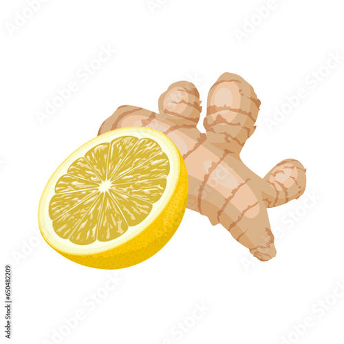 Vector illustration, ginger and lemon, natural medicine, anti-flu ingredients, isolated on white background.