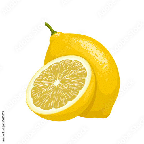 Vector illustration, fresh lemons, whole and halved, isolated on white background.