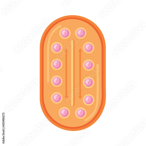 birth control pills pack illustration