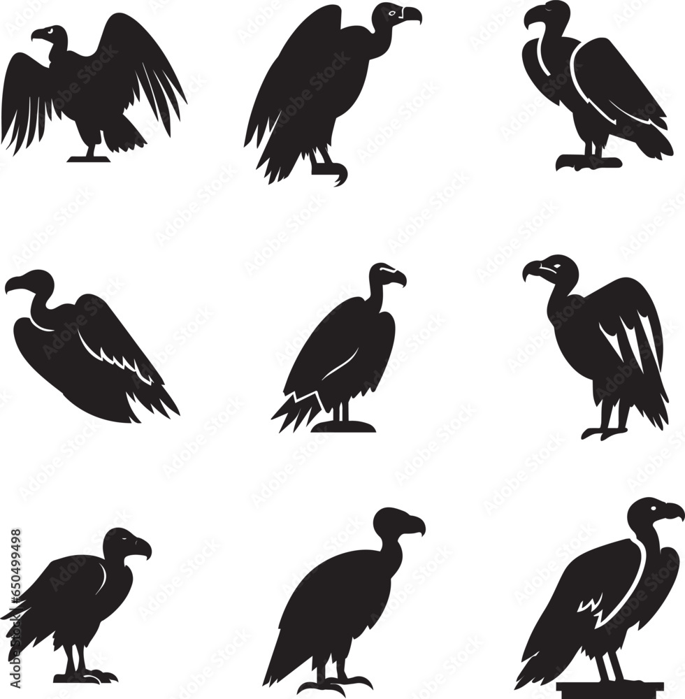 Fototapeta premium Vulture vector silhouette illustration Black color