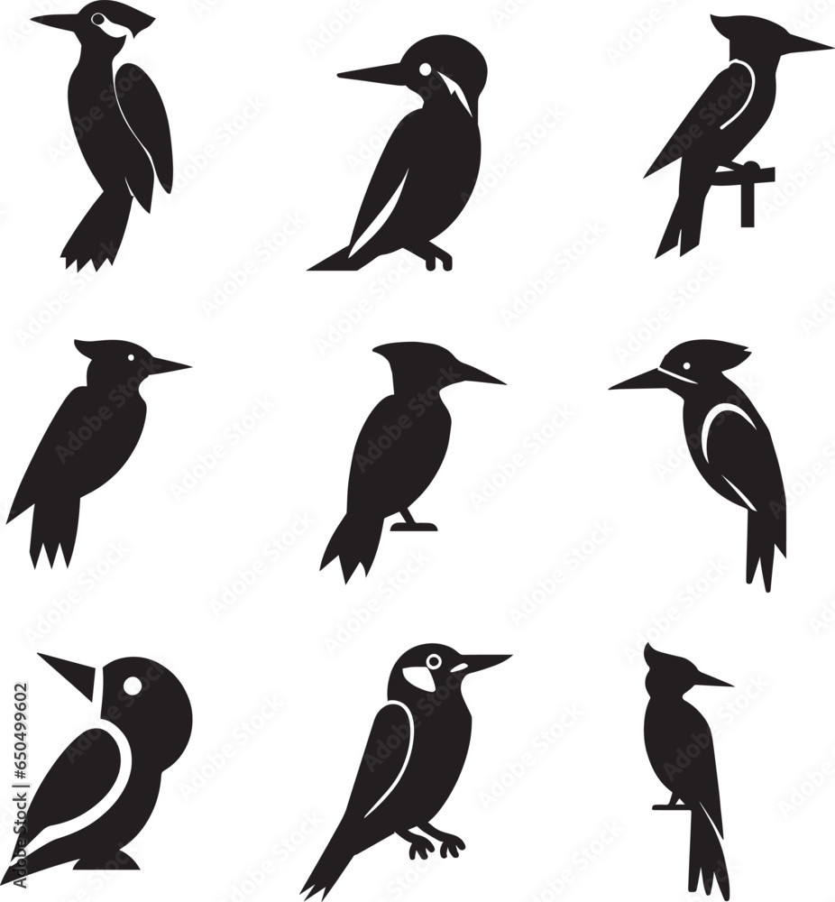 Obraz premium Woodpecker vector silhouette illustration black color