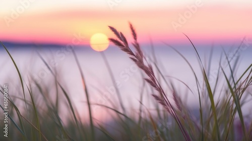 Closeup of wheat and grass overlooking a sunrise on the ocean. Beautiful landscape with dunes by the sea.