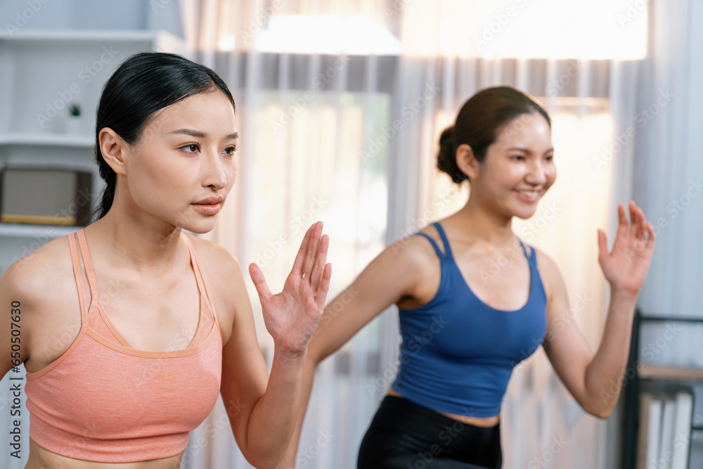 Energetic and strong athletic asian woman with workout buddy running in place at her home. Pursuit of fit physique and commitment to healthy lifestyle with home workout and training. Vigorous