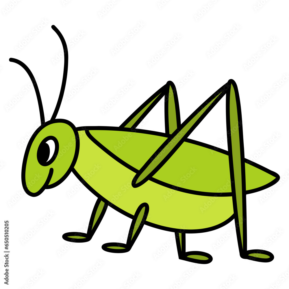 grasshopper on a white background