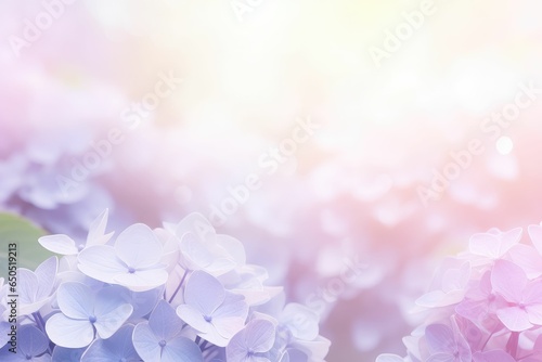 hydrangea background with empty copy space