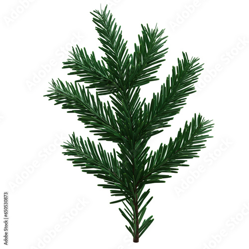 Christmas spruce  green fir twig isolated on white transparent background  PNG. Xmas pine tree branch 