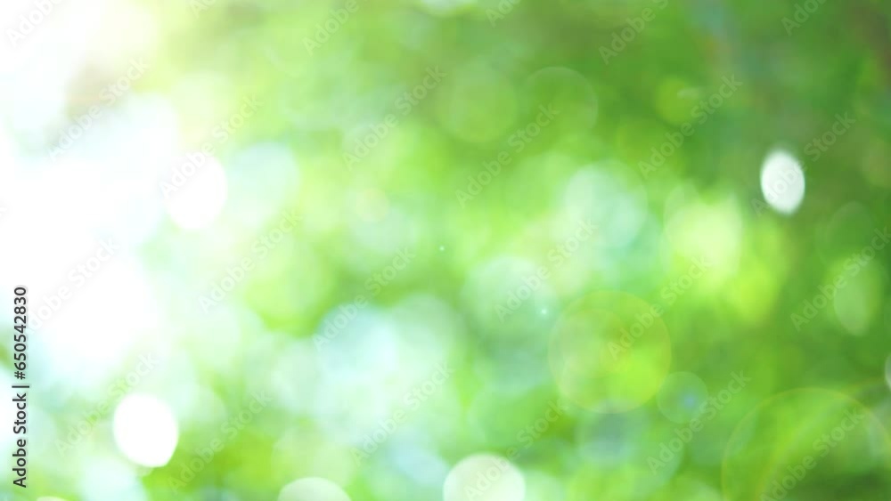 spring green background. natural blurry leaf texture spring green background. natural blurry leaf texture
