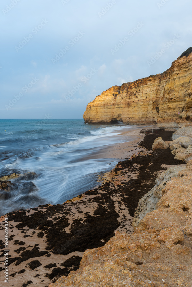 Algae accumulations on Algarve coast and beach in Portugal