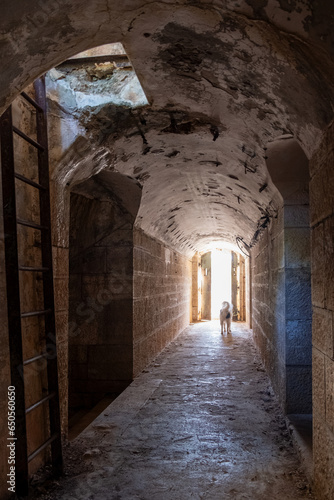 Abandoned Fort San Benedetto buiilt bay Austro-Hungarian navy 1903 . Barbariga Defensive Group . Istria . Croatia . Europe