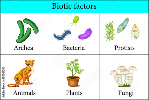 Biotic Factors in the Environment.Vector illustration