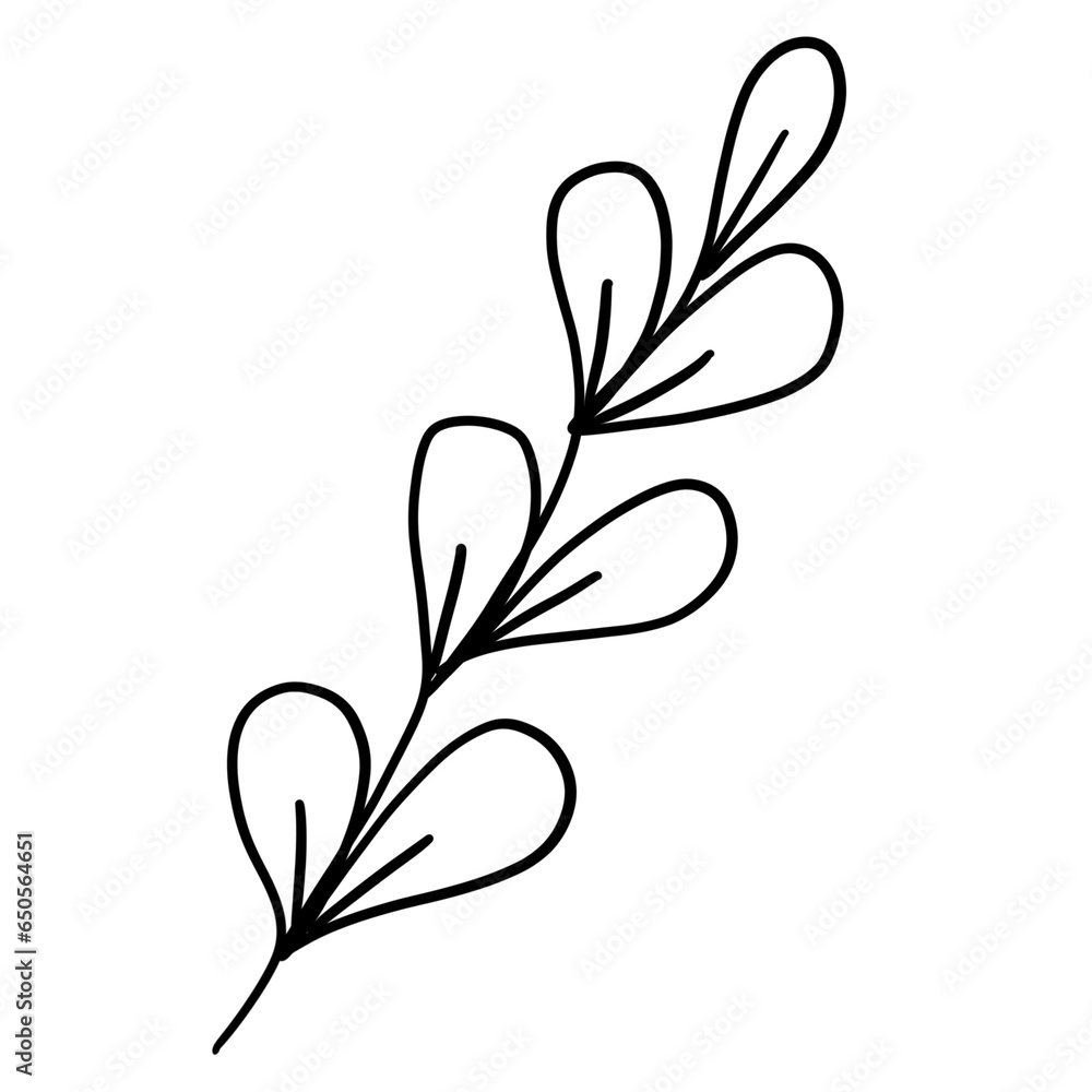Cute handdrawn botanical leaf doodle isolated on white background