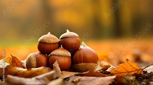 Herbst Impression mit Nüssen auf der Erde - Haselnuss
