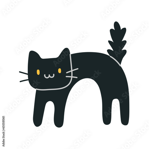 black cat