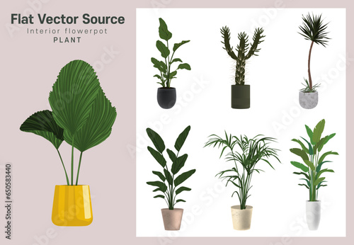 A collection of pot sauces for interior indoor plant gardens