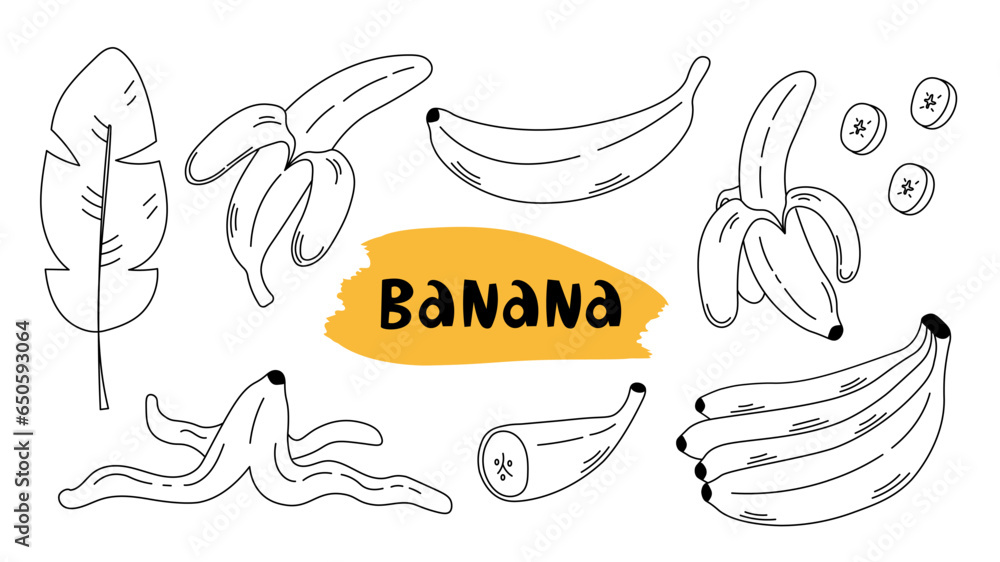 Banana doodle sketch set. Hand drawn collection with banana line art elements. Leaf, peel, half, peeled, slice sketches. Outline vector illustration Banana doodle sketch set. Hand drawn collection with banana line art elements. Leaf, peel, half, peeled, slice sketches. Outline vector illustration