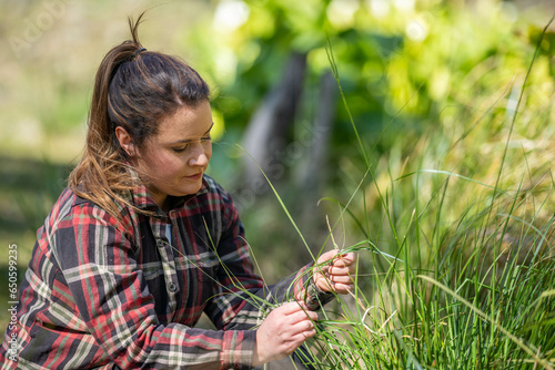 female agronomist pasture in a field on a farm in australia, woman working in agriculture