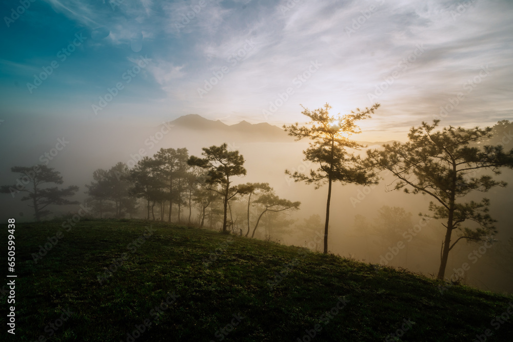 Obraz premium sunrise in the forest