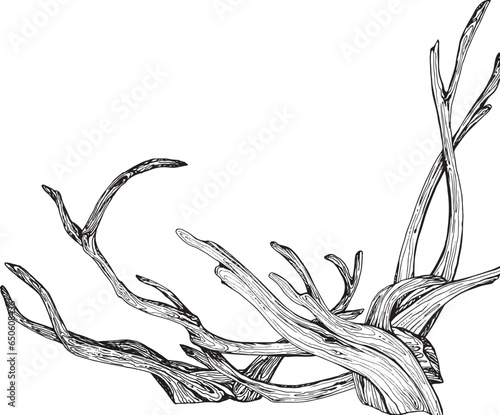 Illustration in black and white graphics driftwood, branch isolated. Hand-drawn translated into vector. Designed for design, printing on fabric, packaging, prints, stickers, posters, postcards