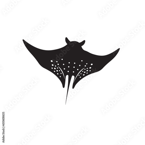 black and white sting ray