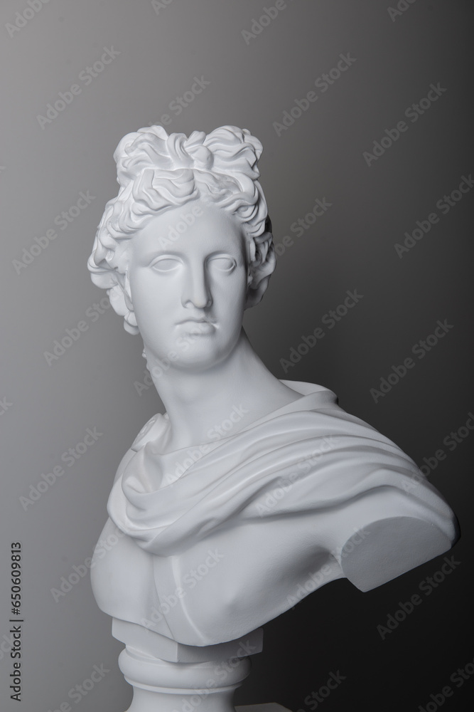 Male plaster statue head in studio over gray background Male plaster statue head in studio over gray background
